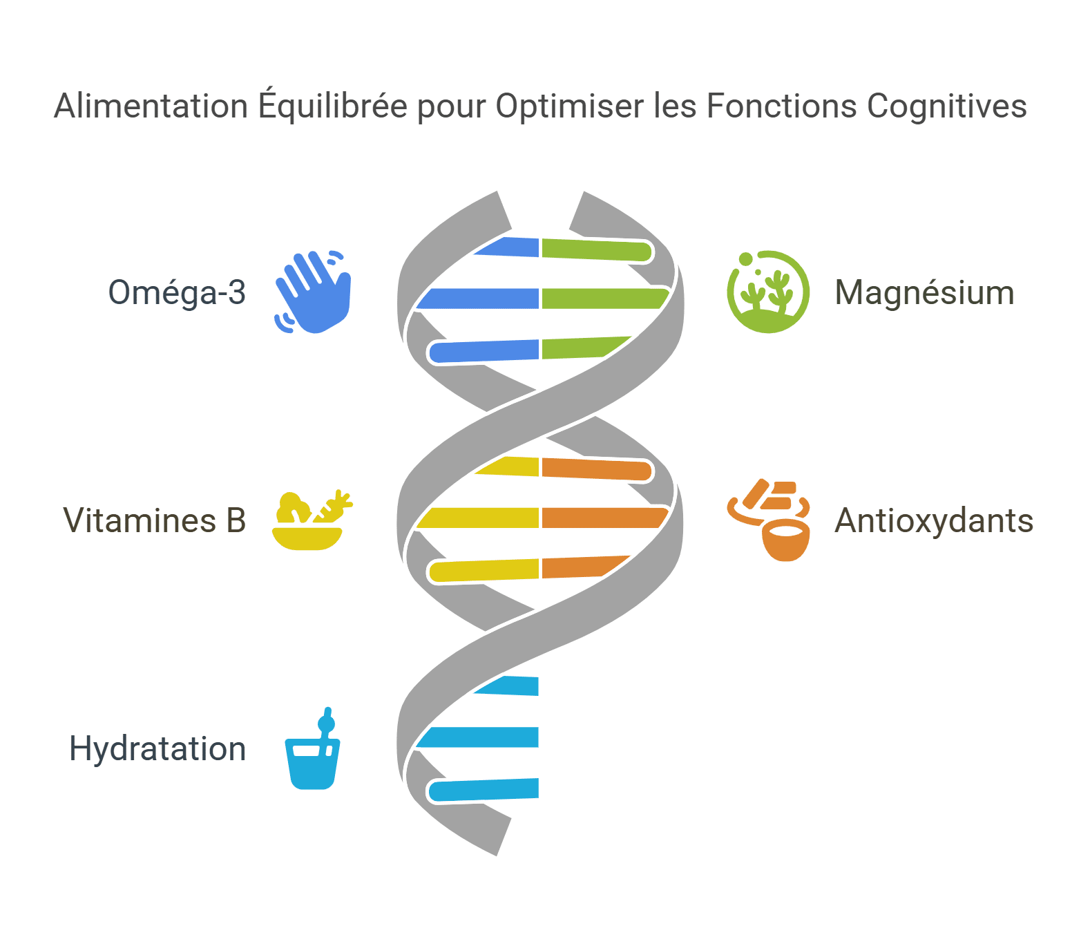 Alimentation Équilibrée pour Optimiser les Fonctions Cognitives - graphique Alimentation Equilibree pour Optimiser les Fonctions Cognitives graphique